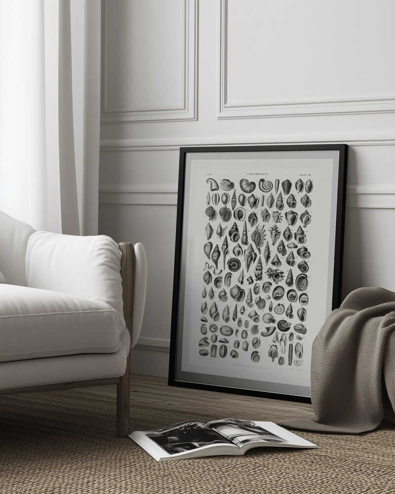 Sealife III | Poster