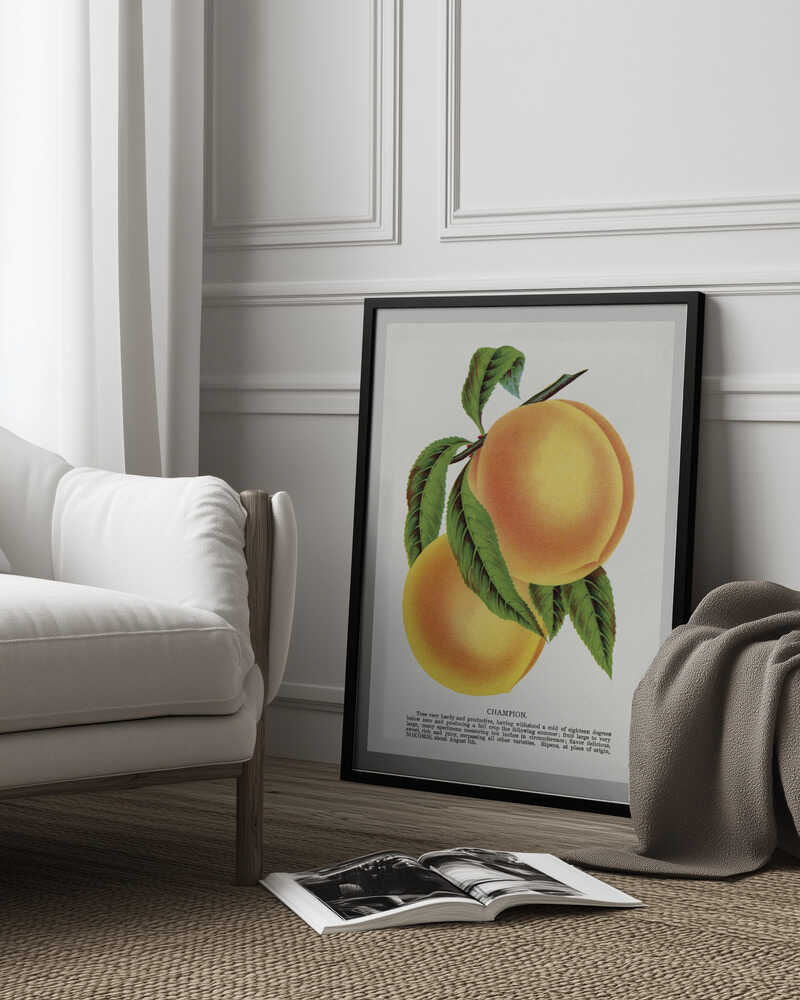 Champion Plum Lithografie | Poster