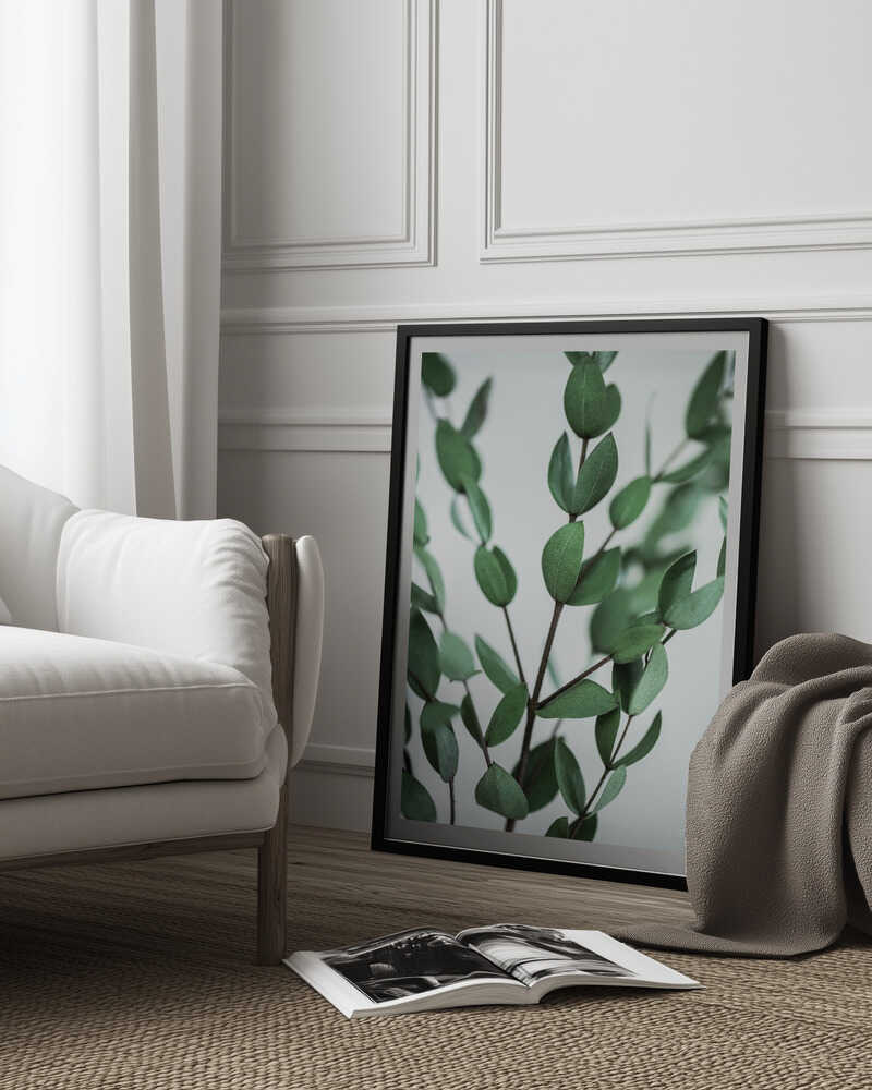 Eukalyptuszweige | Poster