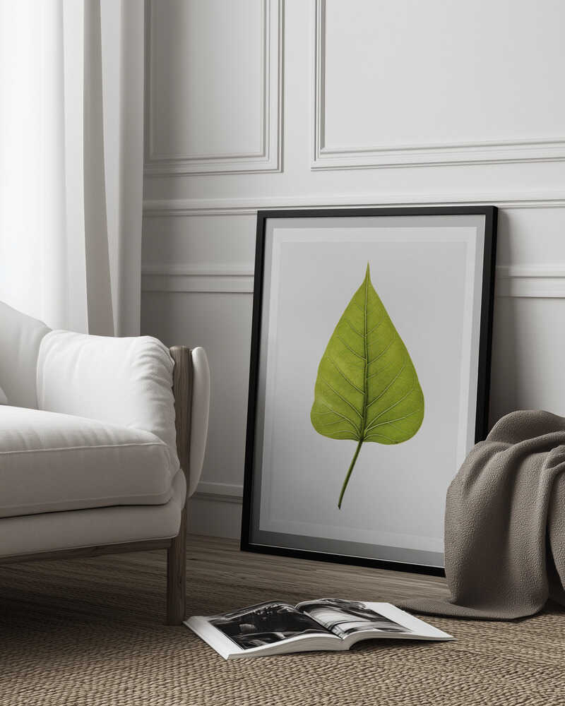 Einzelnes grünes Blatt mit filigranem Adernmuster | Poster