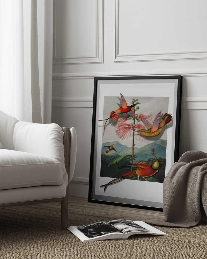 Mimosa Grandiflora | Poster