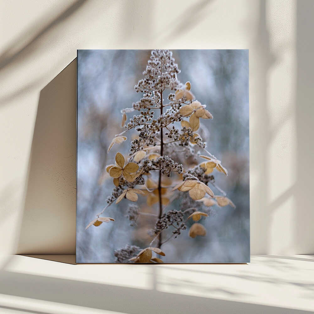 Winterspitze | Canvas