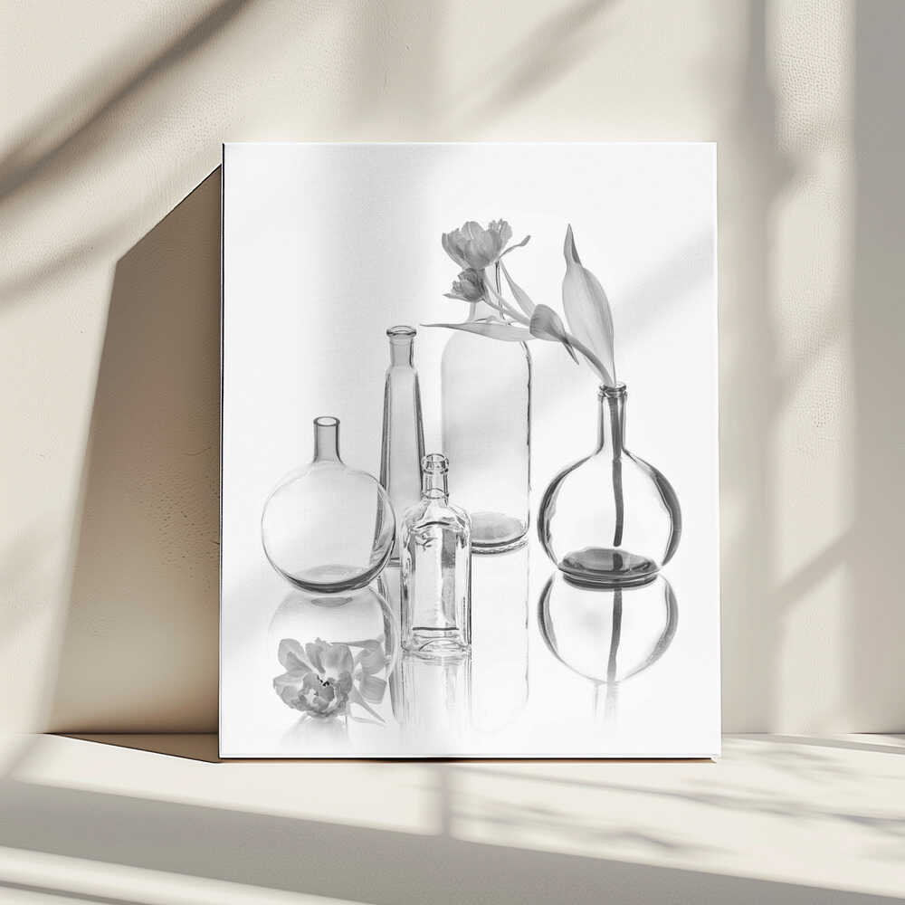 Transparenz | Leinwand