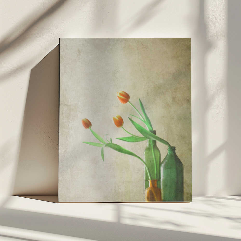 Drei Tulpen | Leinwand