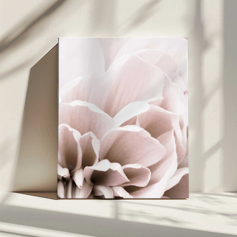 Chrysanthemum No 07 | Canvas