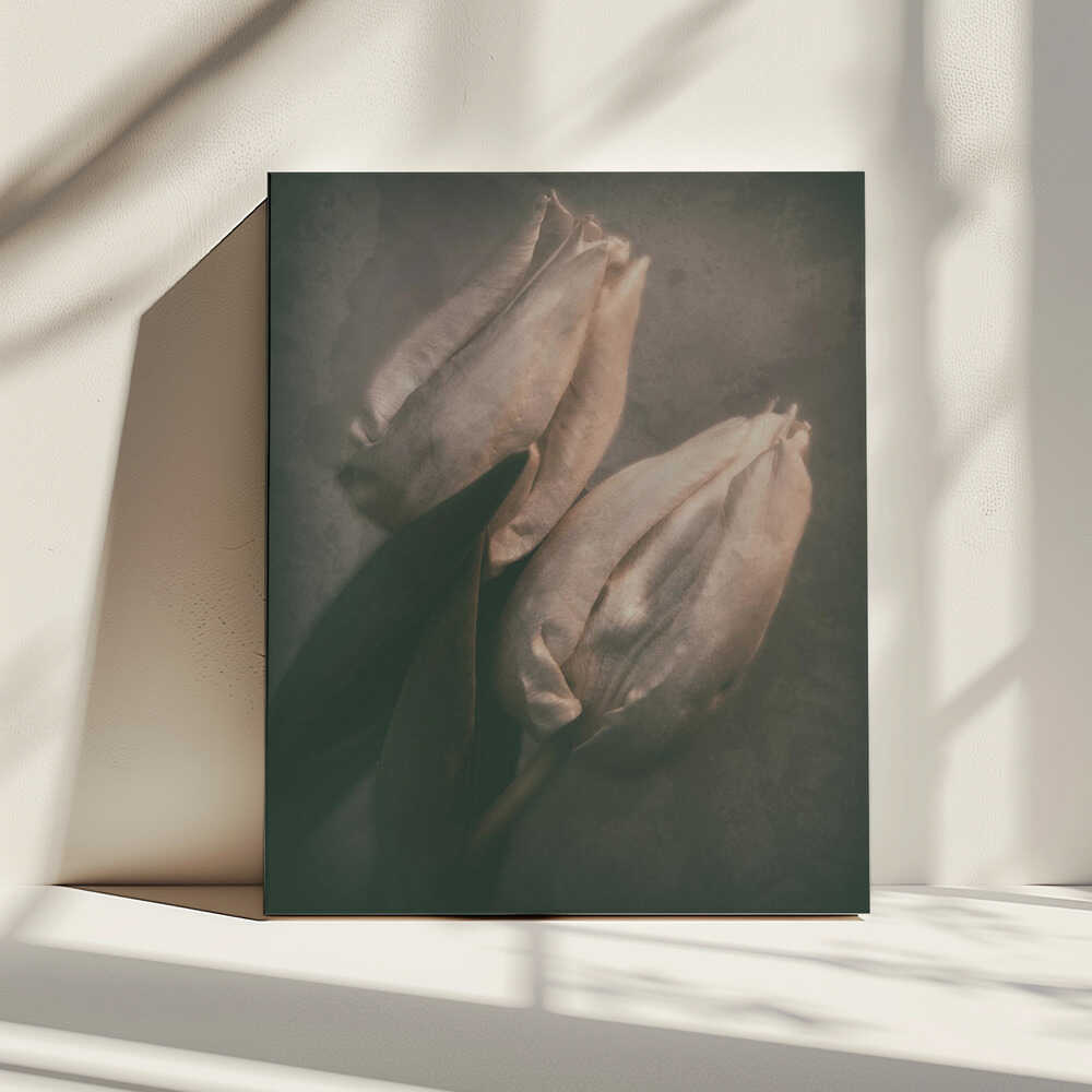 Liebe auf den ersten Blick ... | Leinwand