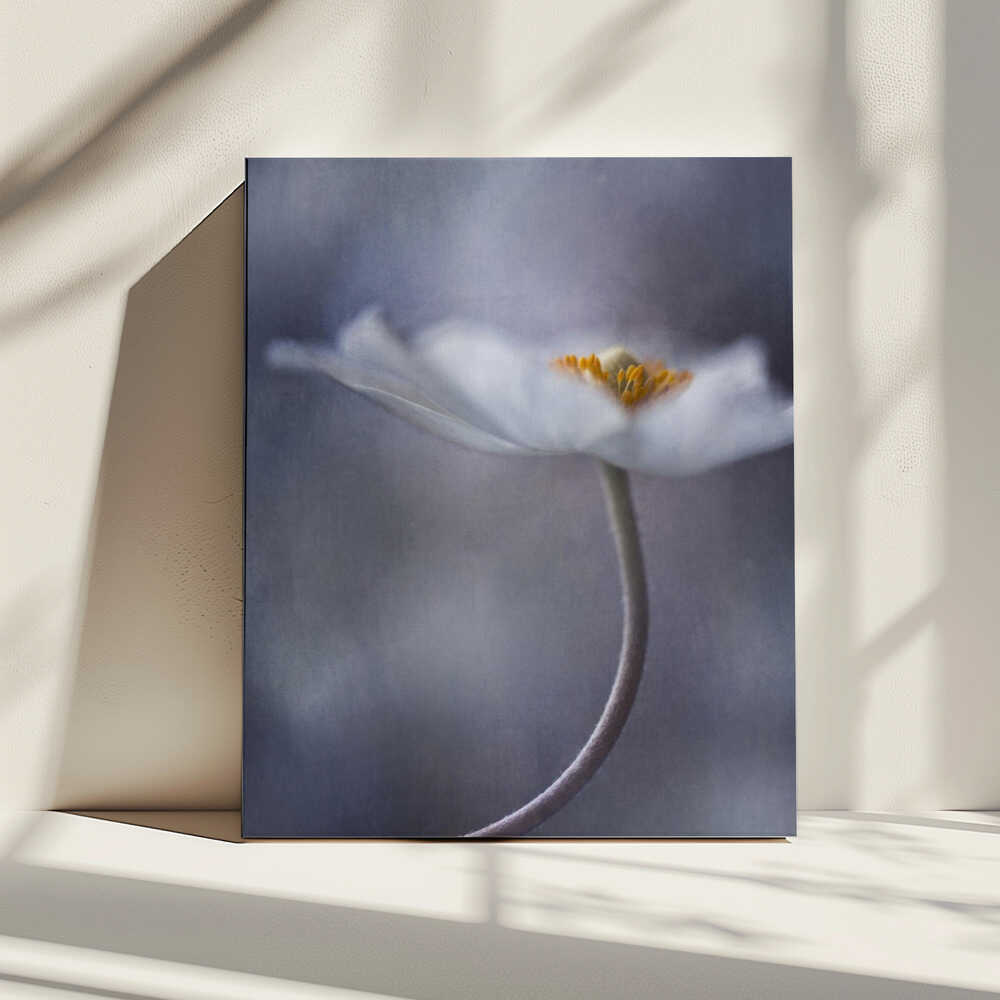 The Beauty Within | Canvas