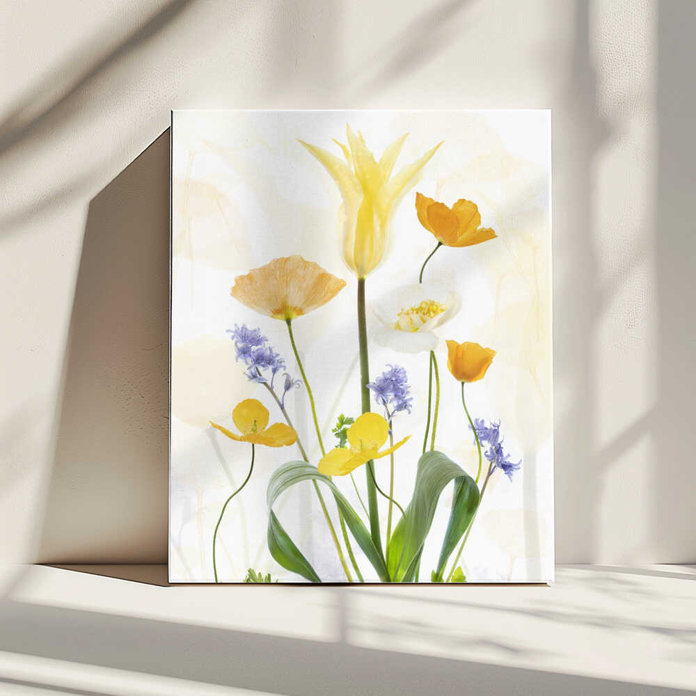 Frühlingsglanz | Leinwand