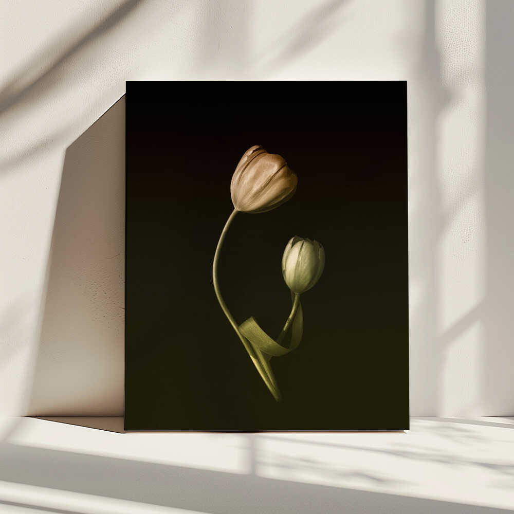 A Mother's Love | Canvas