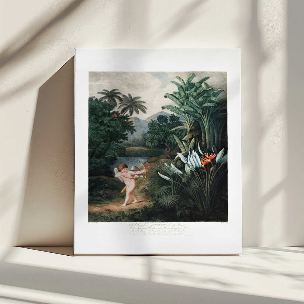 Cupid Inspiring Plants with Love from The Temple of Flora (1807) | Canvas