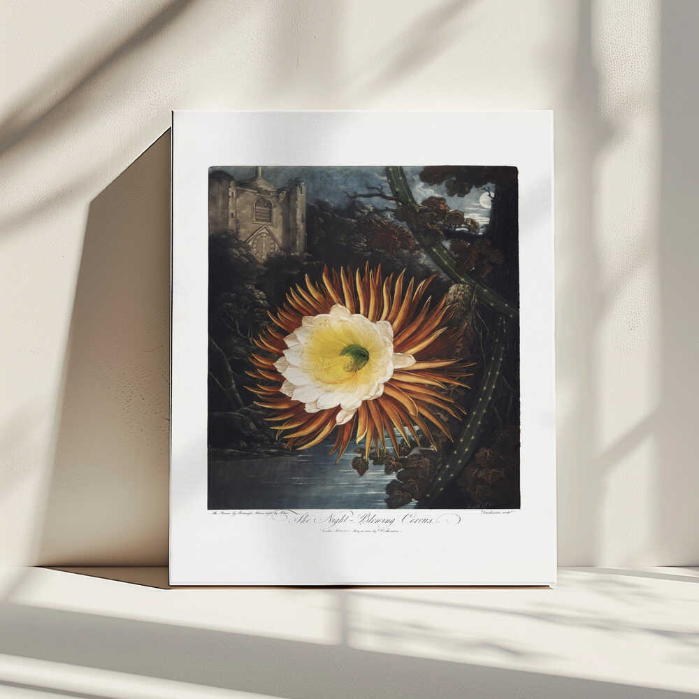 The Night–Blowing Cereus from The Temple of Flora (1807) | Canvas