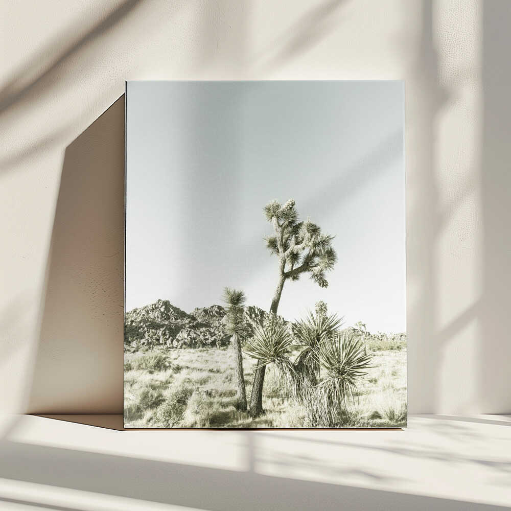 Impression vintage du parc national de Joshua Tree | Toile