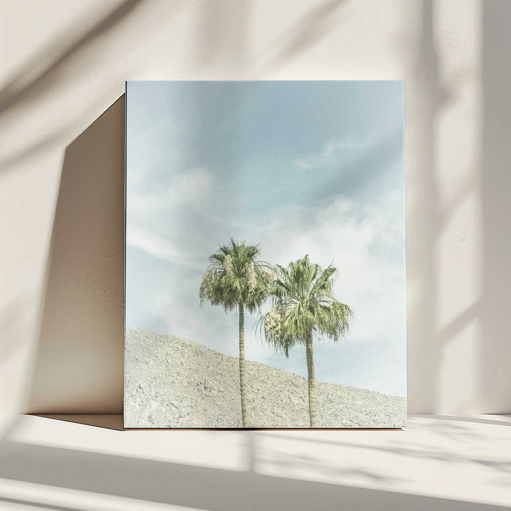 Vintage Palm Trees in the desert | Canvas