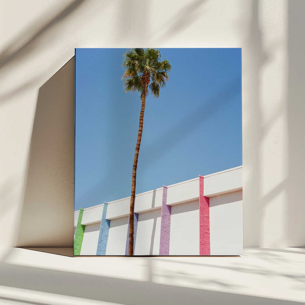 Palm Springs II | Canvas