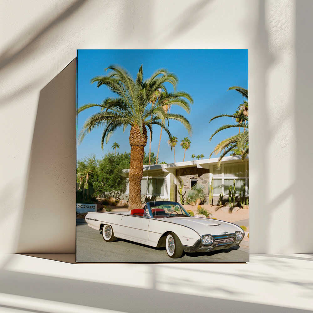 Palm Springs Thunderbird | Toile