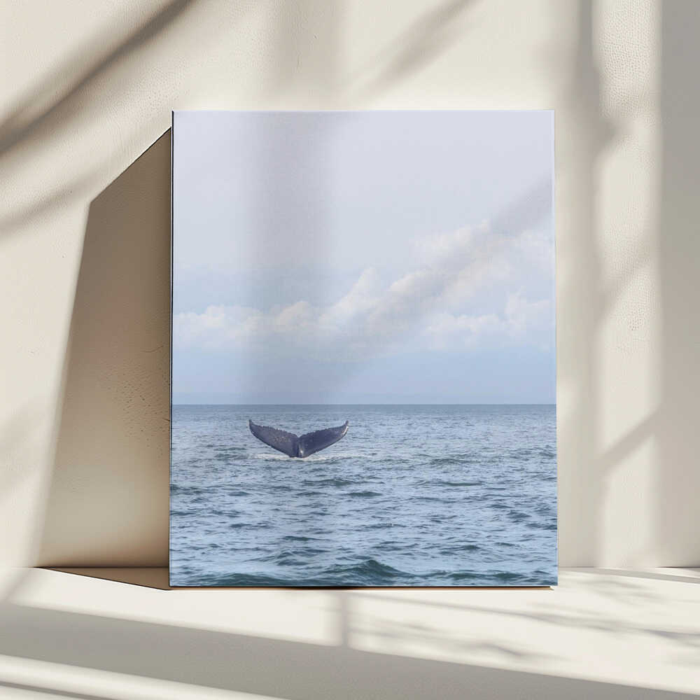 Abschied des Wals | Leinwand