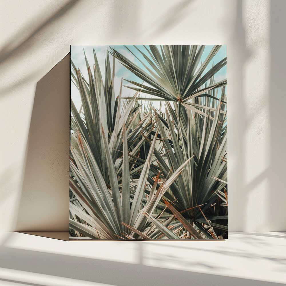 Tropenparadies | Leinwand