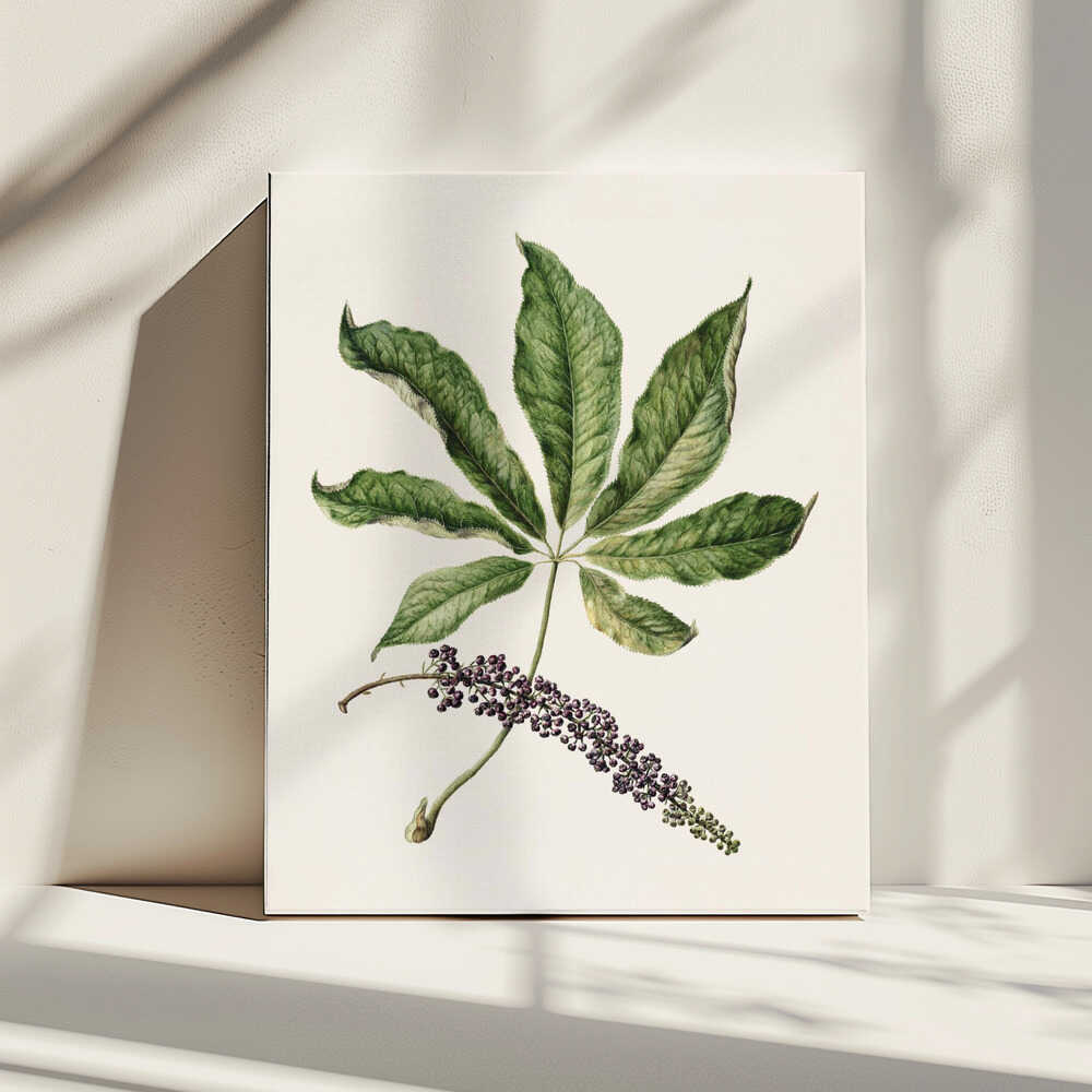 Antike Pflanzenzeichnung von Sarah Featon (1848–1927) | Leinwand