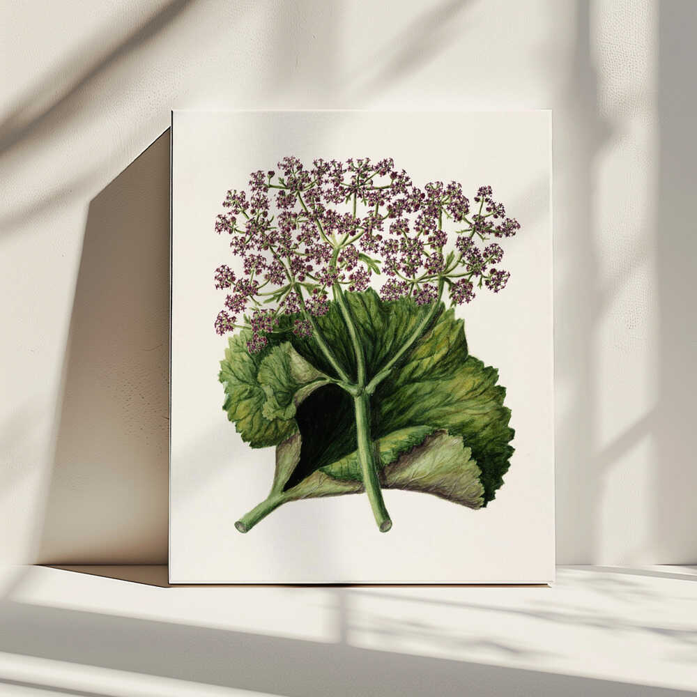 Antike Pflanze II, gezeichnet von Sarah Featon (1848–1927) | Leinwand