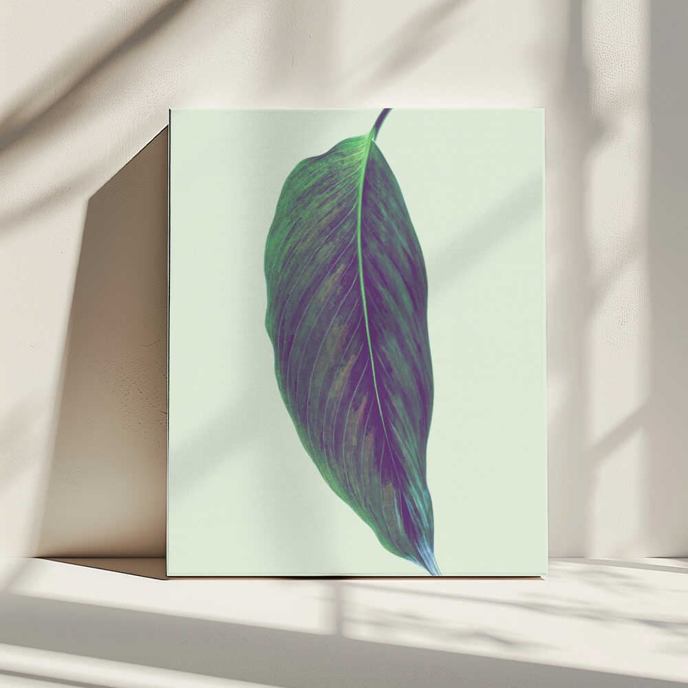 Einzelnes grünes Blatt | Leinwand
