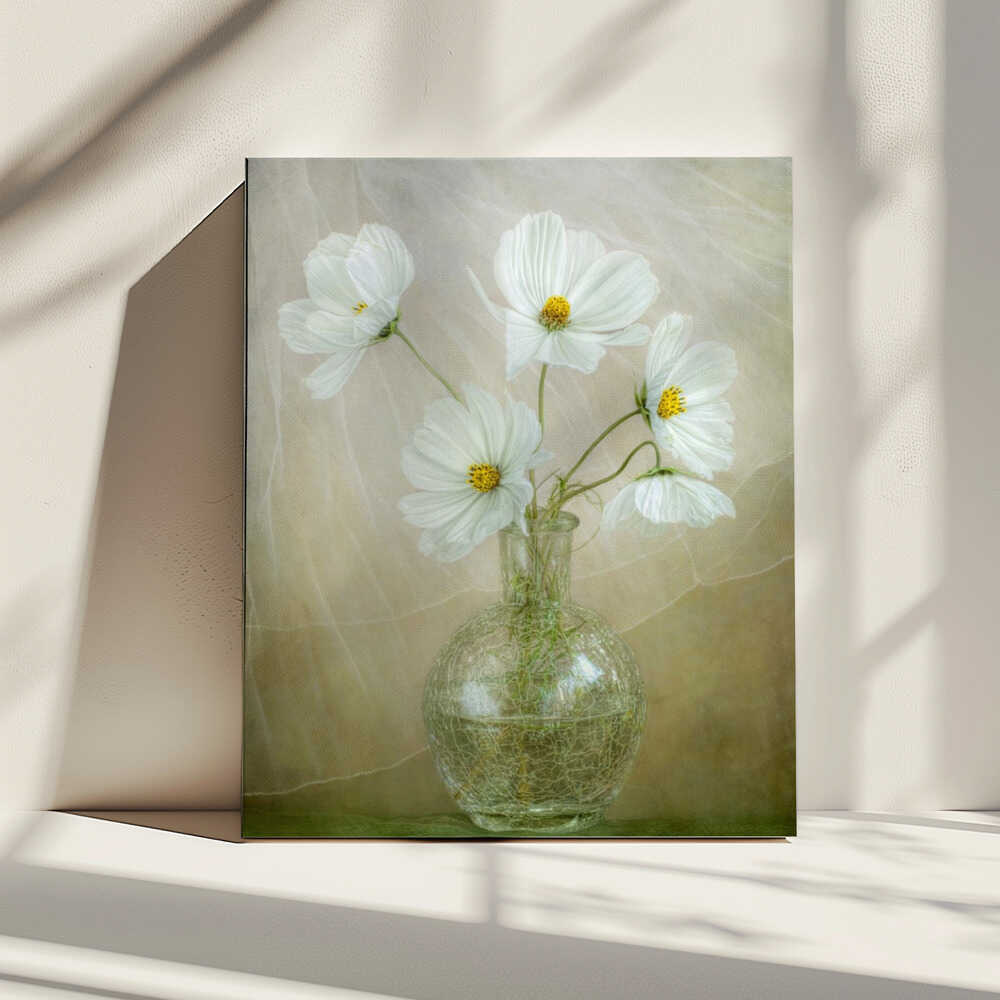 Cosmos breeze | Canvas