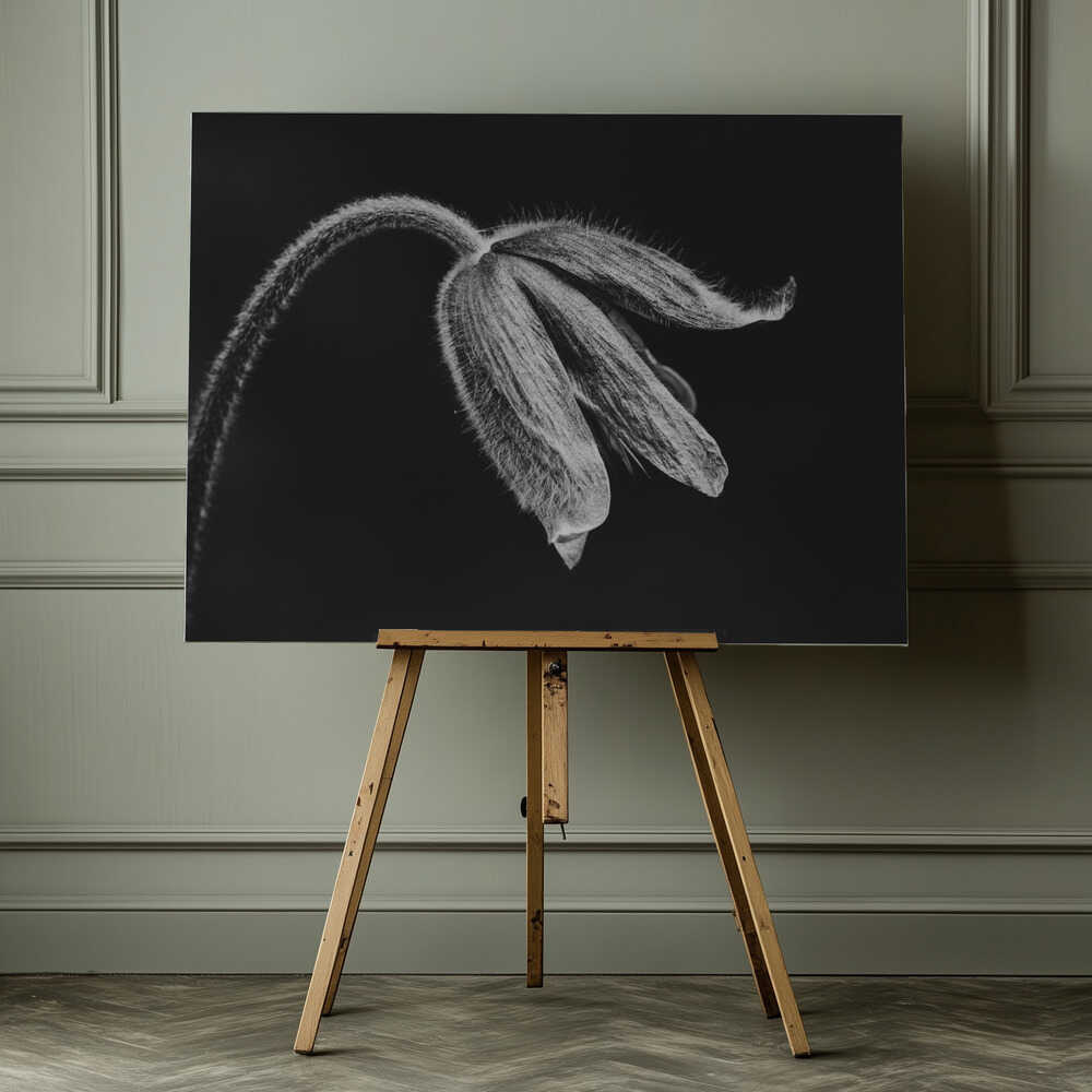 Herbe de l'homme sauvage | Toile