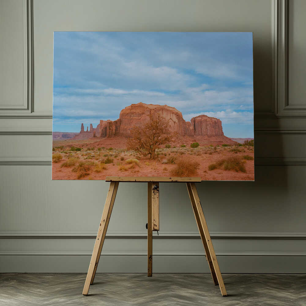 Monument Valley IX | Canvas