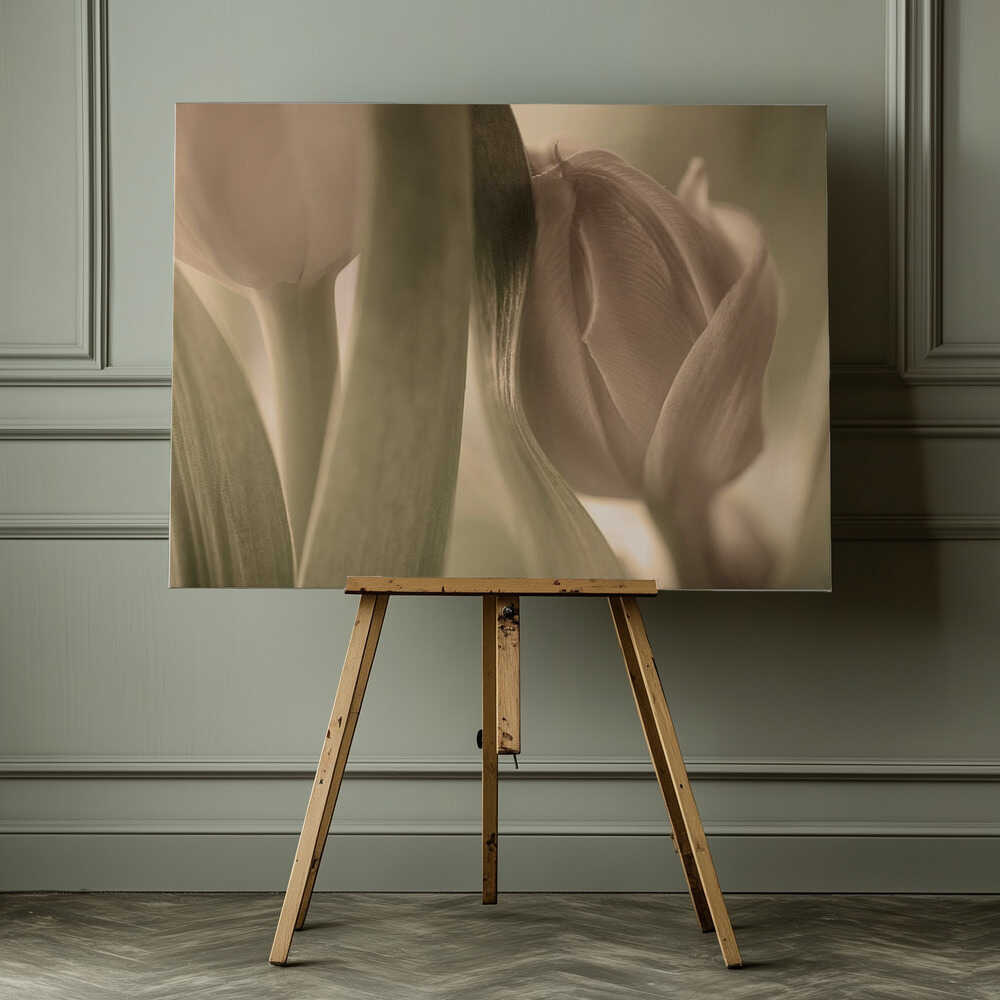 Tulpen | Leinwand