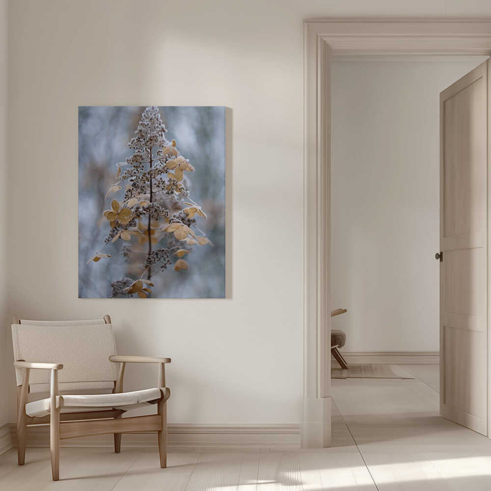 Winterspitze | Canvas