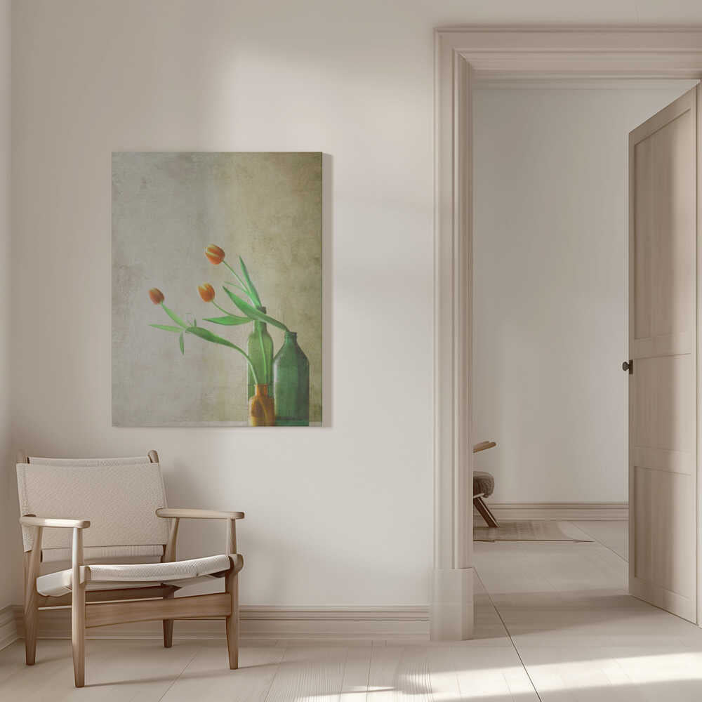 Drei Tulpen | Leinwand