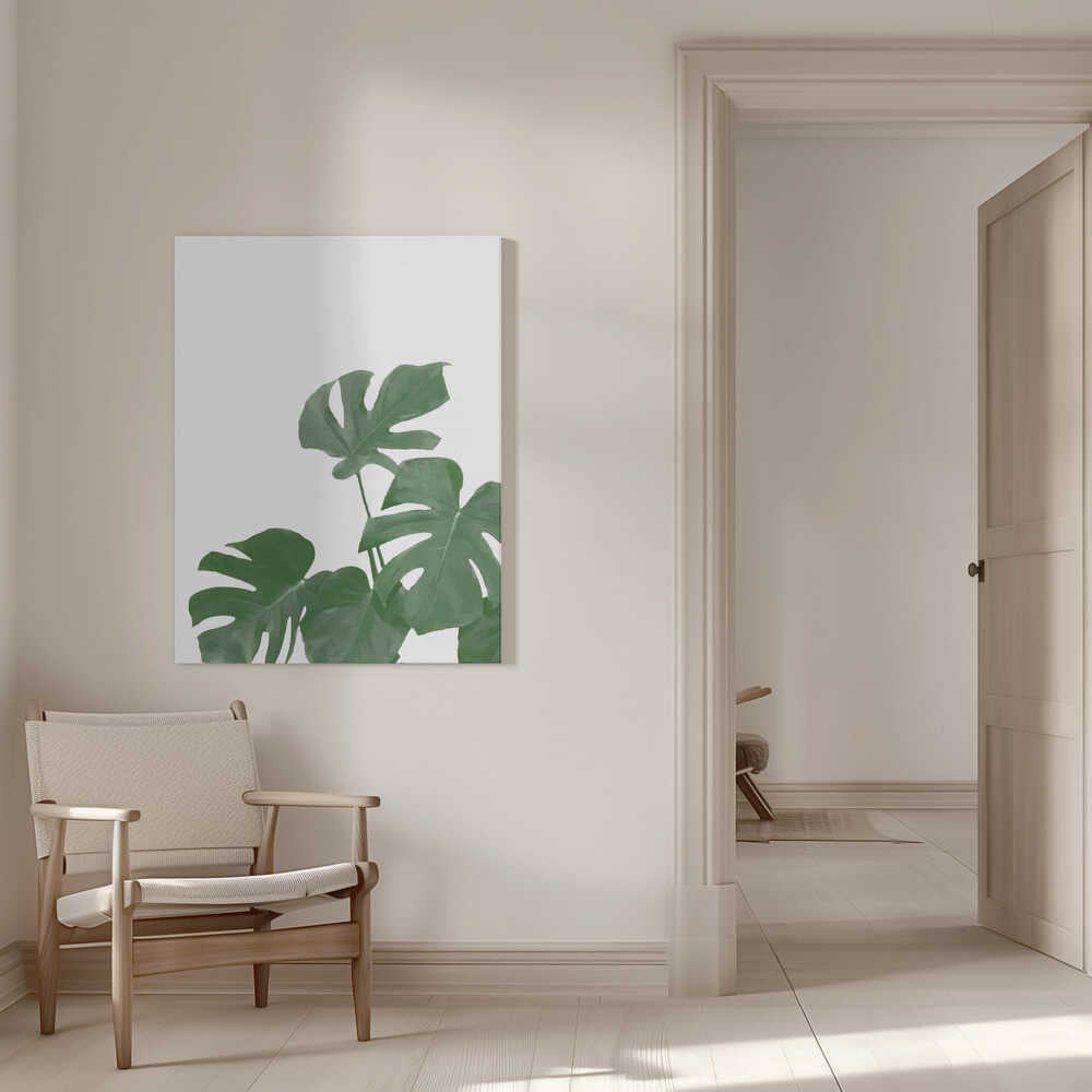 Monstera Aqua 04 | Leinwand