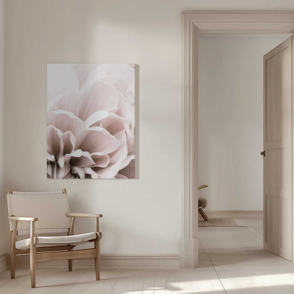 Chrysanthemum No 07 | Canvas