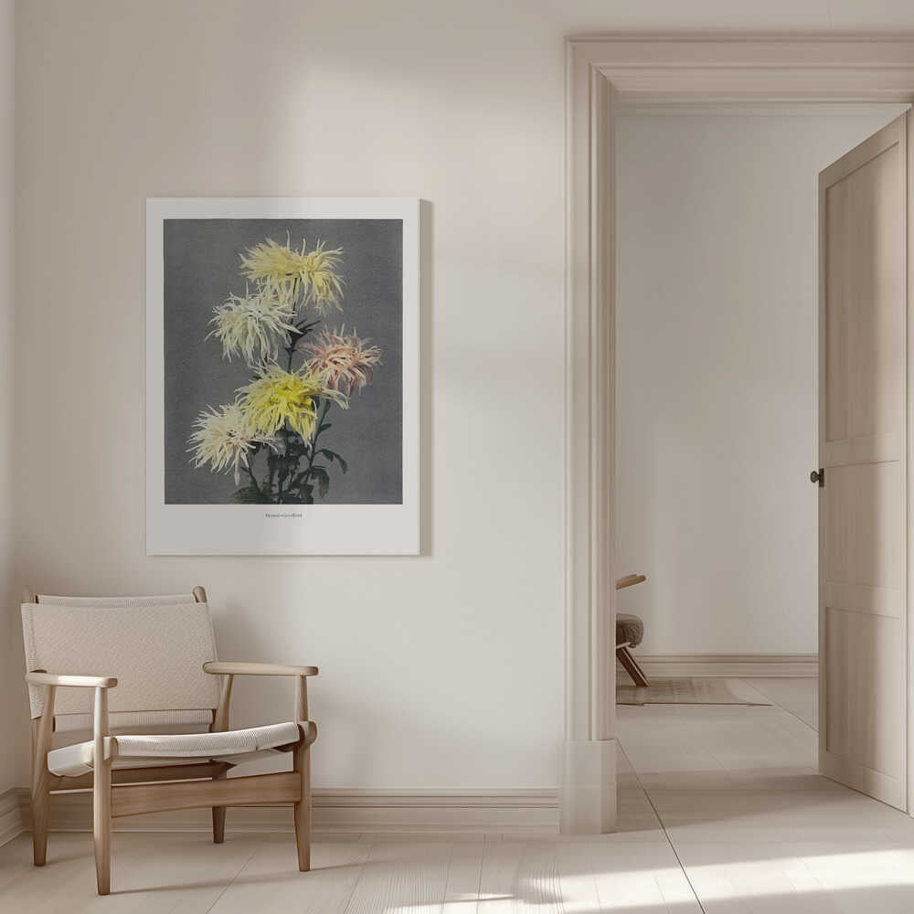 Nami–chi–dori | Canvas