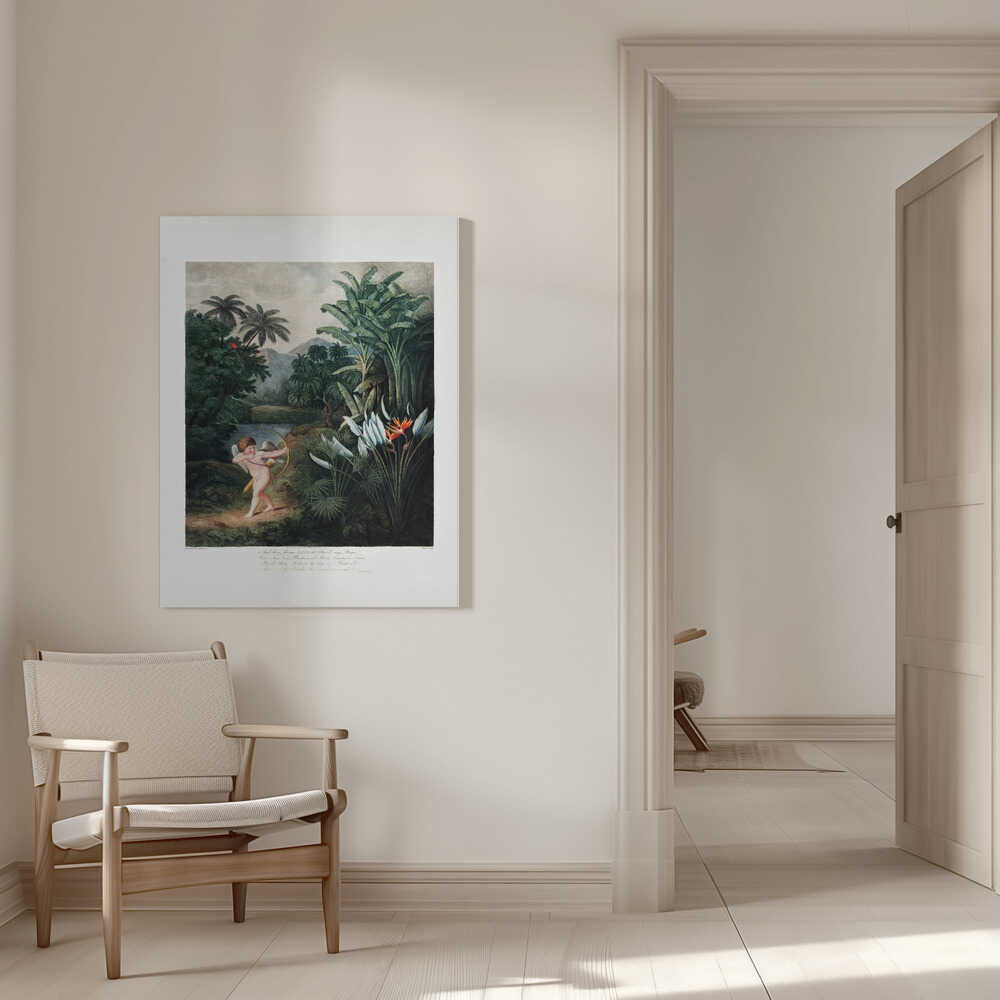 Cupid Inspiring Plants with Love from The Temple of Flora (1807) | Canvas