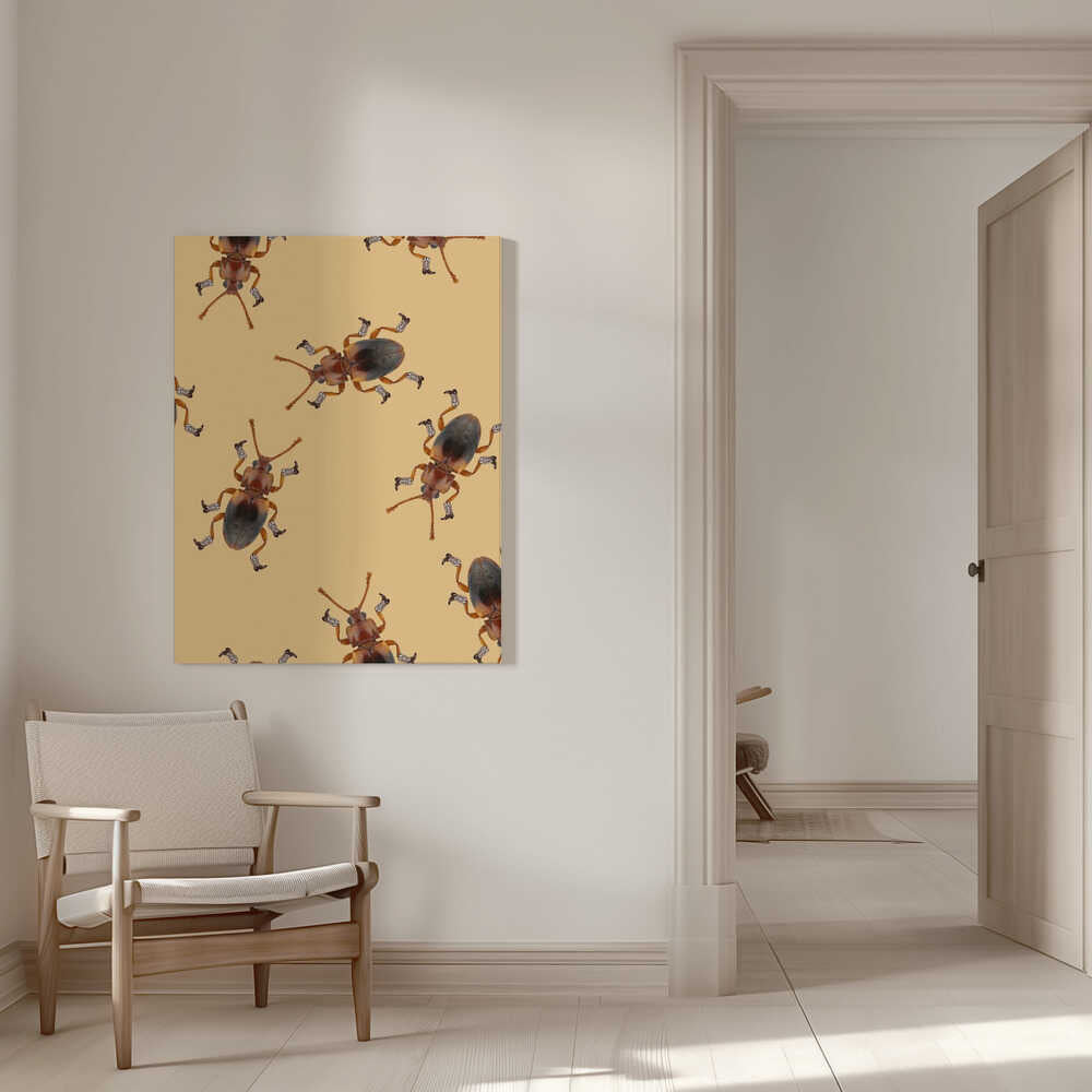 Billy The Booted Beetle | Canvas