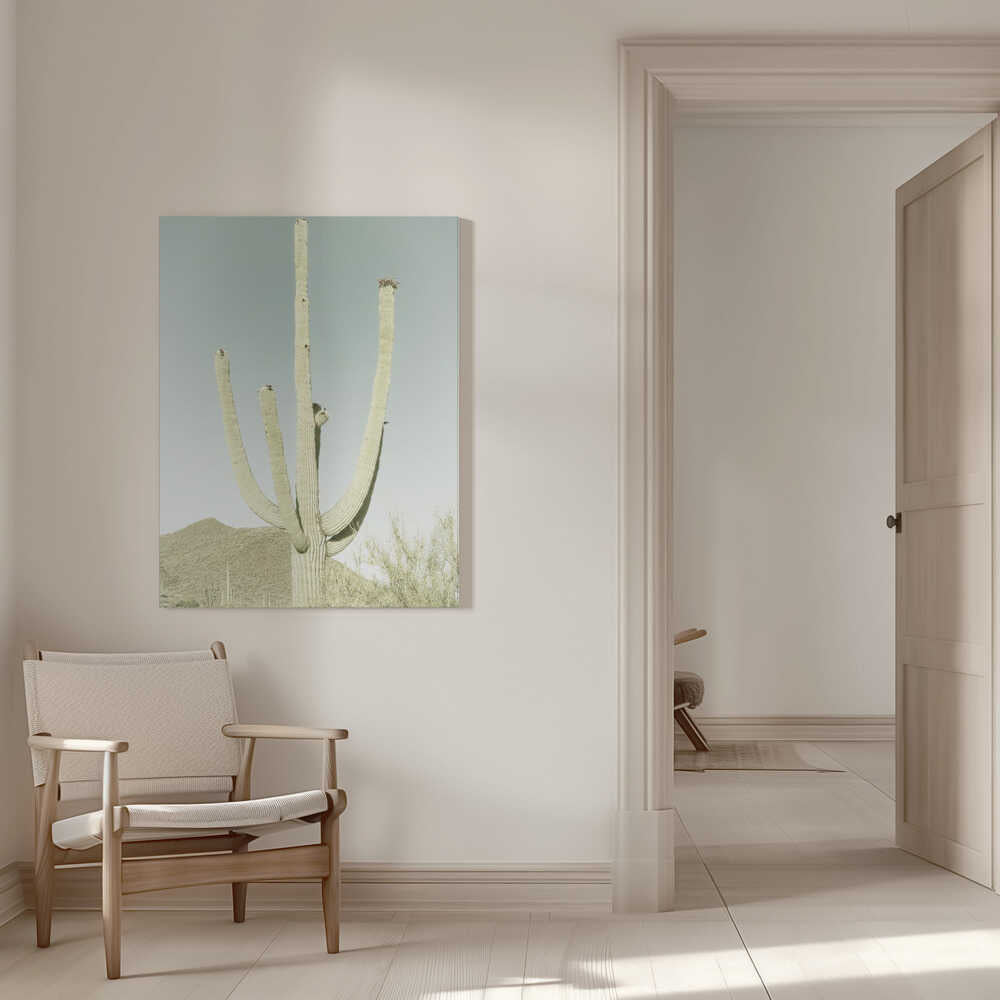 PARC NATIONAL DE SAGUARO Saguaro géant vintage | Toile