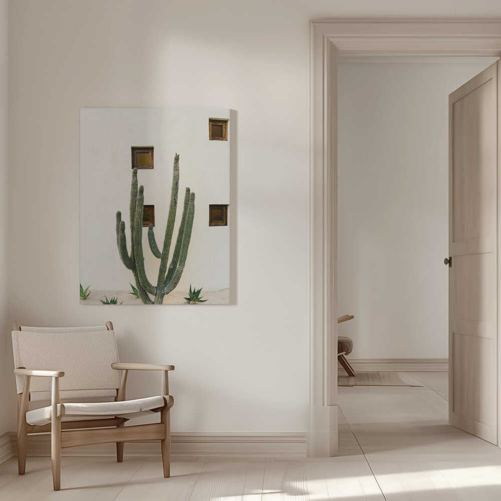 Cabo Cactus IX | Toile