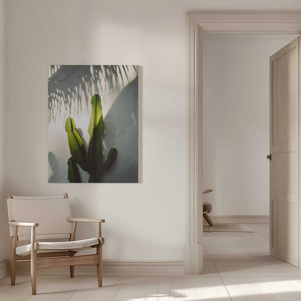 Ombres de Californie du Sud | Toile