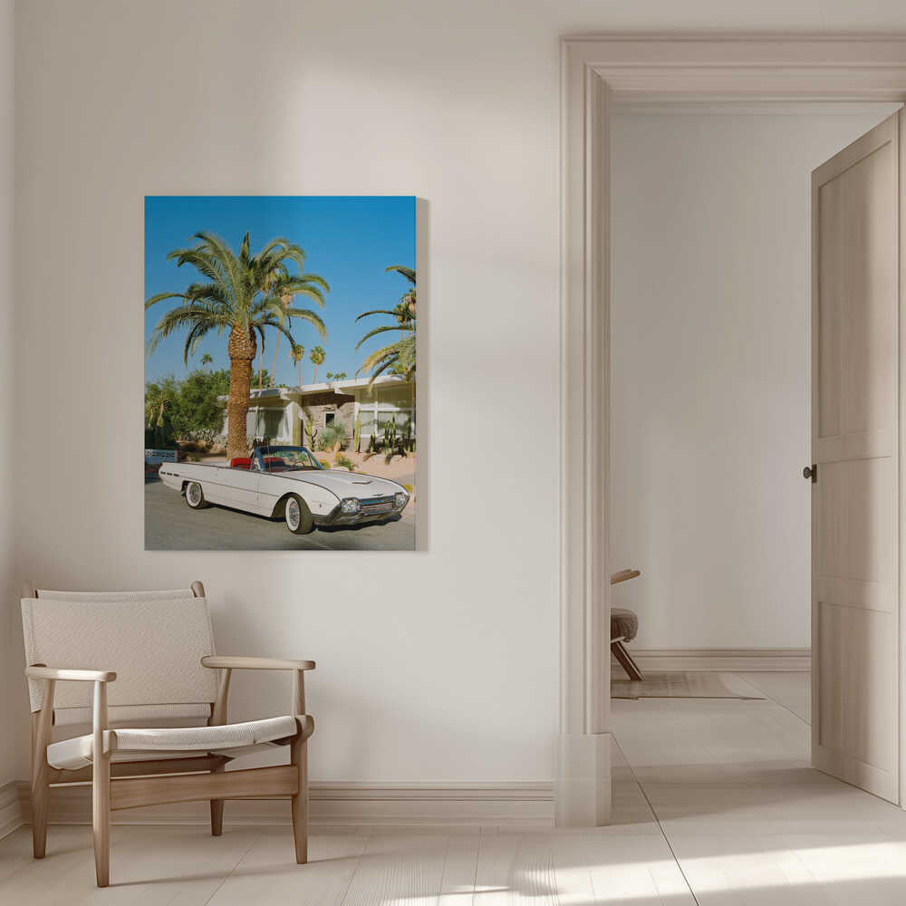 Palm Springs Thunderbird | Toile