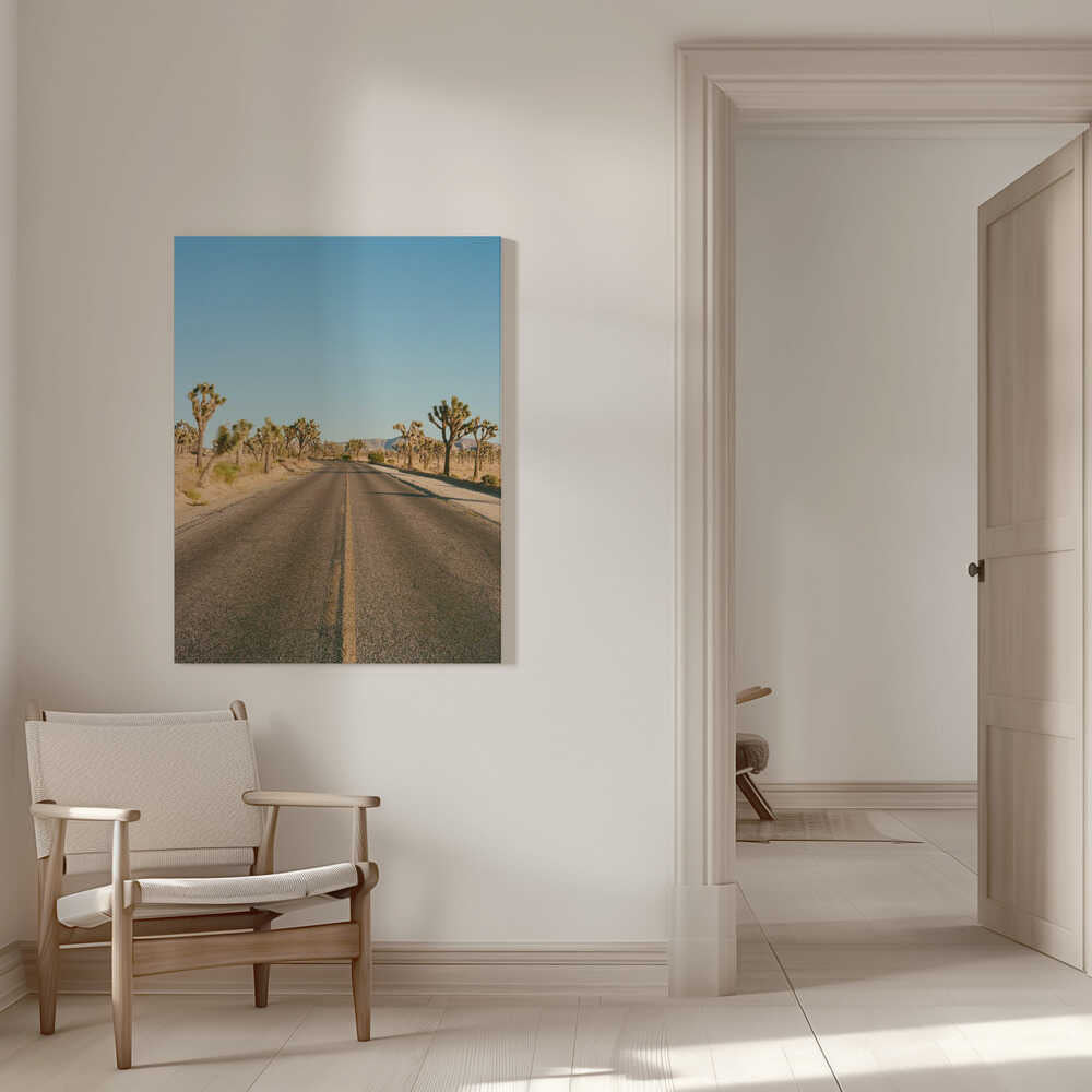 Joshua Tree Road II | Leinwand