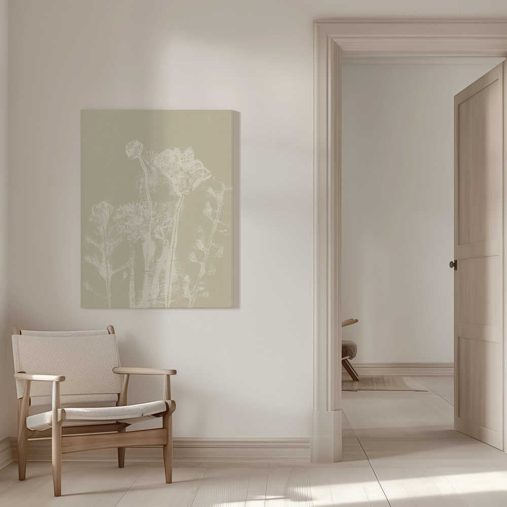 Motifs floraux abstraits. Plantes et fleurs blanches des prés sur fond beige neutre. | Toile