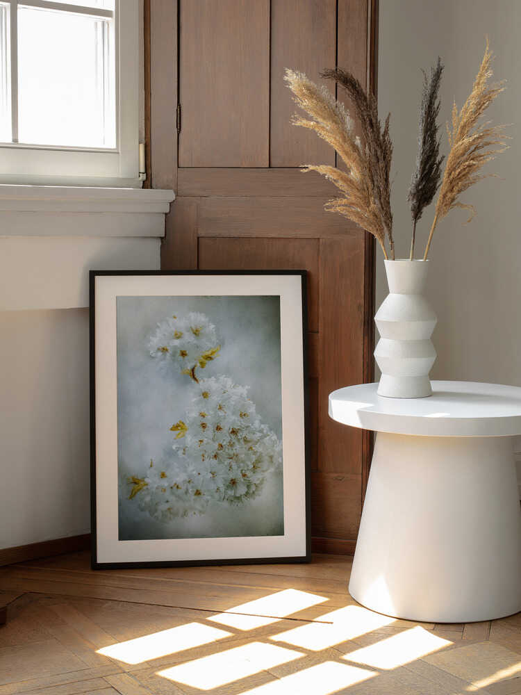 Kirschblüten | Poster
