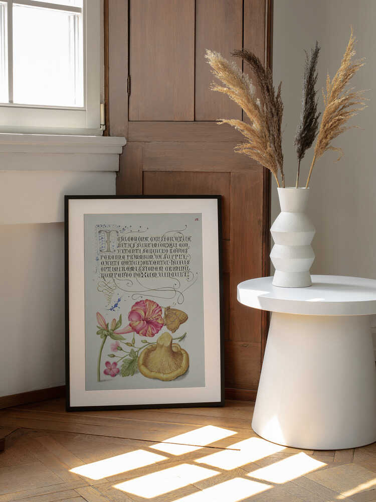 Mira Calligraphiae Monumenta | Poster