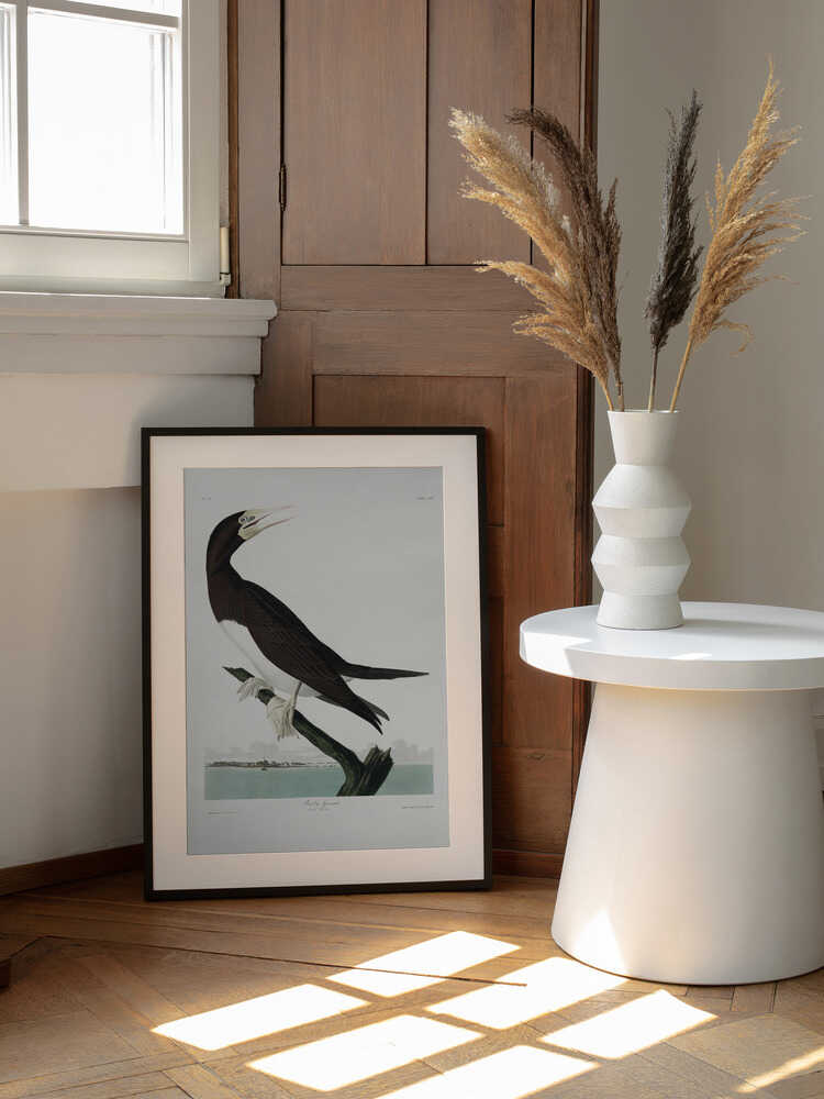 Tölpel aus „Vögel Amerikas“ (1827) | Poster