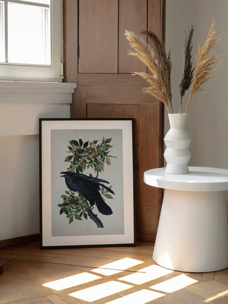 Rabe aus „Vögel Amerikas“ (1827) | Poster