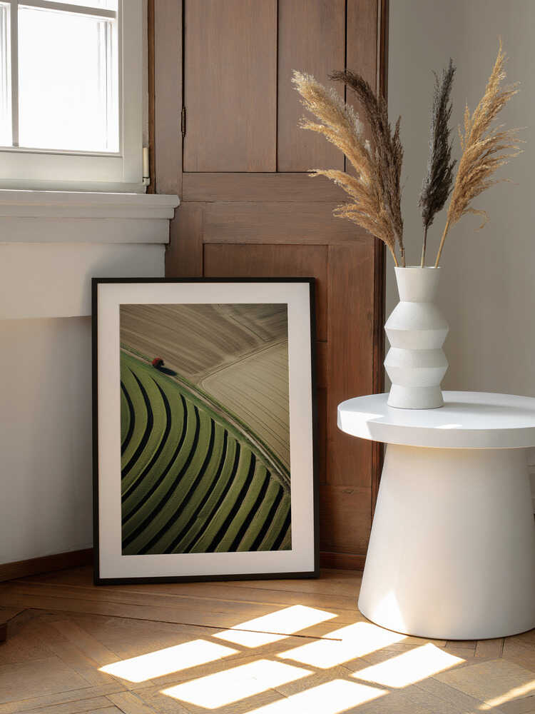 Fields Of Love | Poster