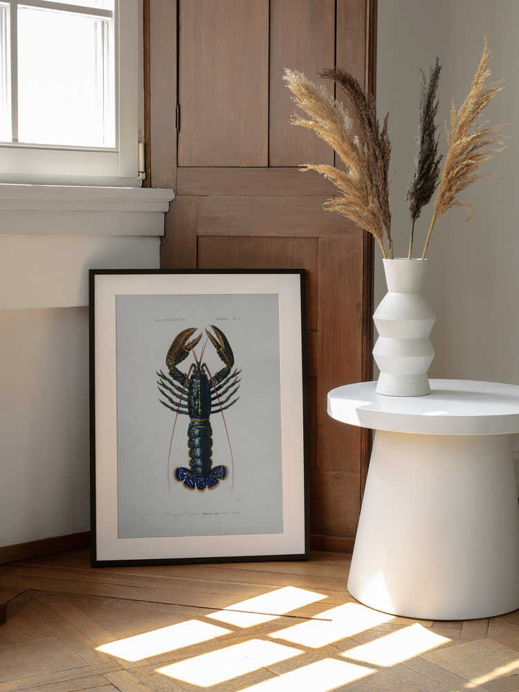 Purpurkrebs | Poster