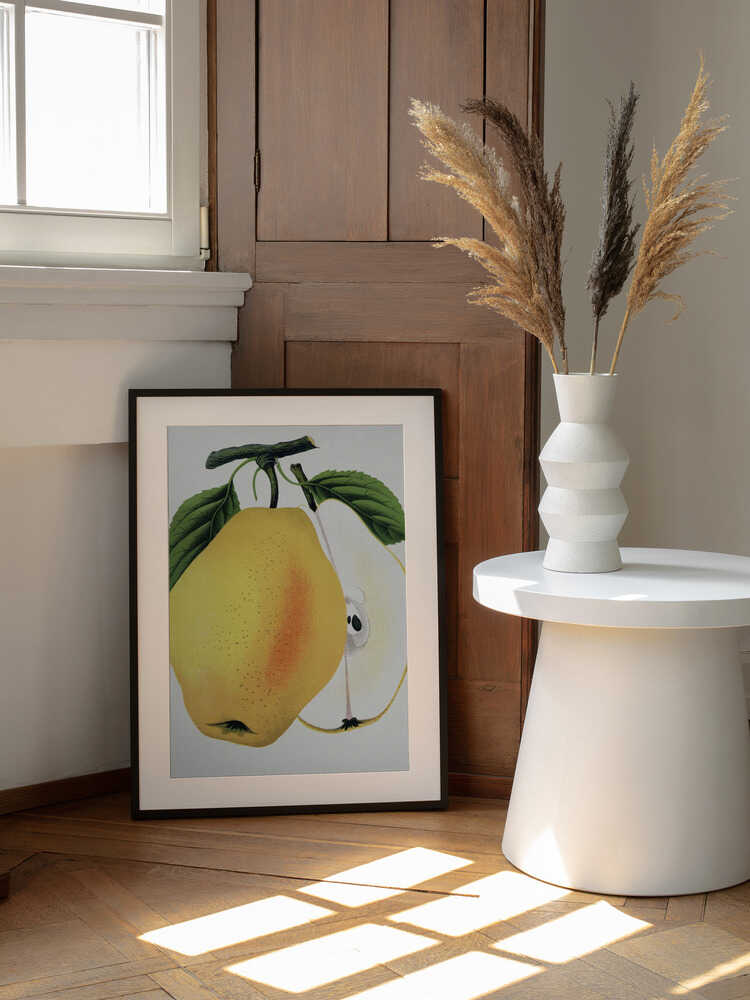 Kiefer's Hybrid Pear Lithograph | Poster