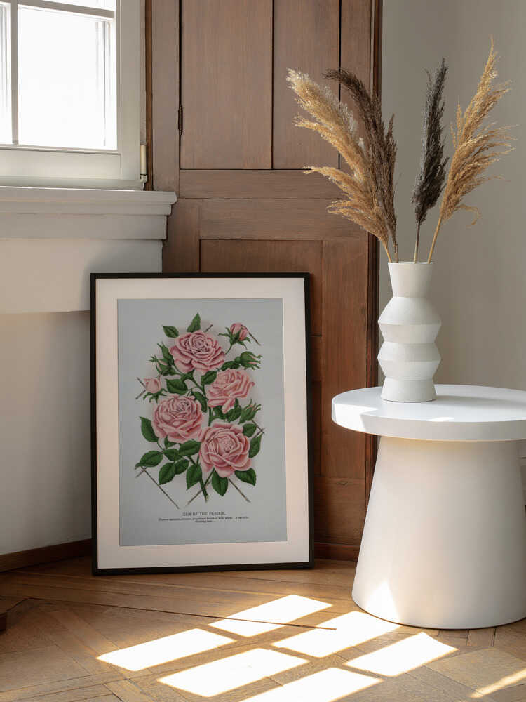 Pink Rose, Juwel der Prärie – Lithografie | Poster