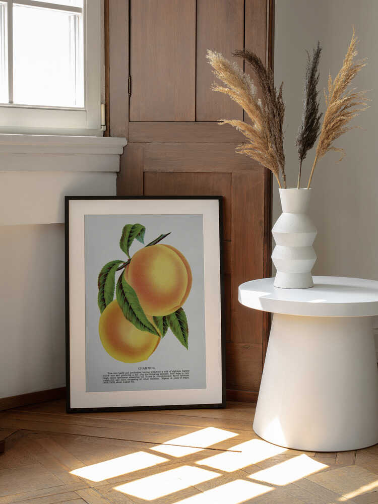 Champion Plum Lithografie | Poster